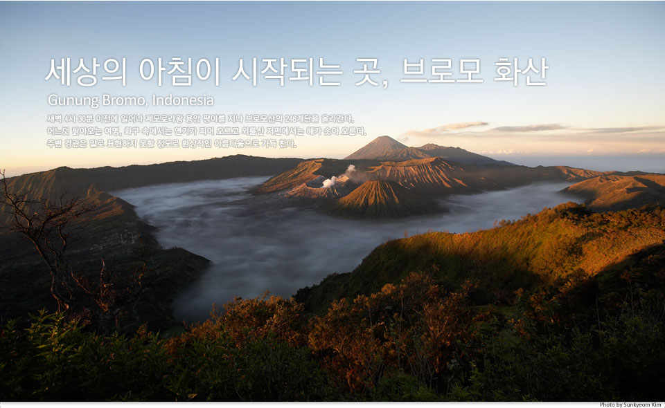 가히무역 이미지