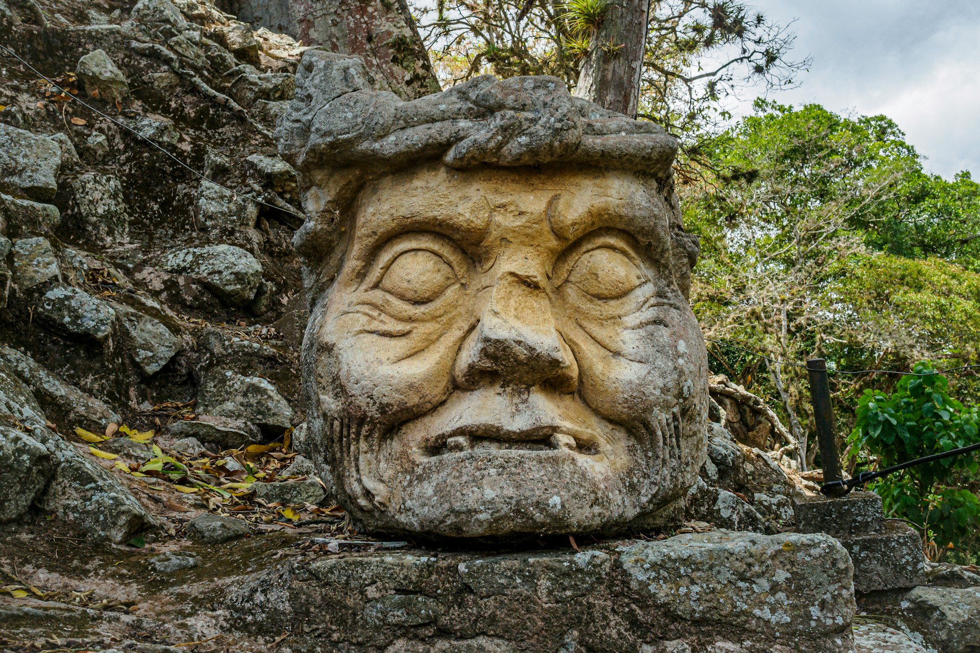 Detail Image